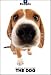   - THE DOG Artlist - Beagle - Hand Book - 6 Postcards