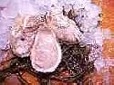 Oysters
