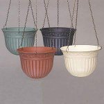 YPMA 1011-22 Balkon-Ampel Cissus 20 cm blau Terra-Line