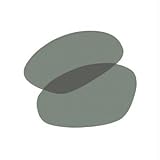 Wiley X XL-1 Replacement Lenses Smoke Green