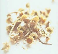 Tempest Tea Chamomile Tea - 4oz loose-leaf tin by Tempest Tea