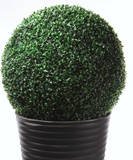 from TOP BALLS Artificial Dark Buxus Ball 50cm