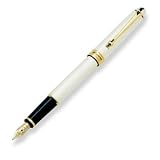 Aurora Pens 88 Sterling Silver Fountain Pen