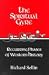 Book The Spiritual Gyre: Recurring Phases of Western History