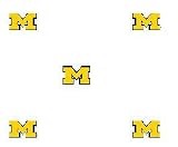 Univ. of Michigan Wolverines - Set of 2 Wallpaper Rolls
