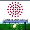 Image of album by Compound Red