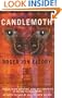 Candlemoth