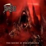 Sound of Perseverance [Vinyl]