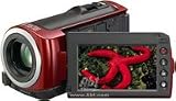 Sony HDR-CX100 ACVHDHD Camcorder with Smile Shutter & 10x Optical Zoom (Red)