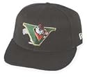 Minor League Baseball Cap - Visalia Oaks Batting Practice Cap by New Era