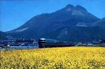 1000ピース 由布岳を越え湯布院へ(大分)