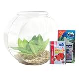 Pet Supplies : Imagine Betta Bowl