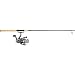Abu Garcia Cardinal 300/Cabela's Pro Guide¨ Spinning Combo