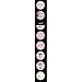 Microslide, The Earthworm, Set