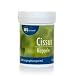 Cissus 90 Kapseln