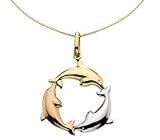 Tricolor Circle of Life Dolphin Pendant