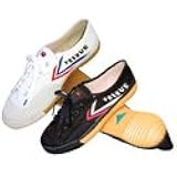 TMAS Set of Feiyue Martial Arts Shoes