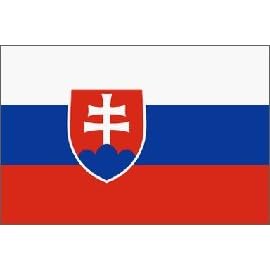 Slovakia National Country Flag 3' x 5'