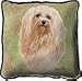 Havanese Pillow - 17 x 17 Pillow