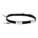 Sporting Goods : Fuel Belt Reflective Race Number Belt