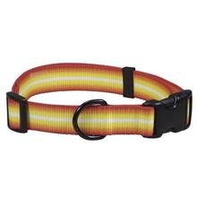 C NYL GRAD COLLAR LG 1