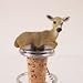 Deer Doe Bottle Stopper