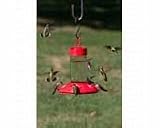 Dr JBs Hummingbird Feeder