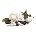Ecco Bella Beautiful Bones Bar Image