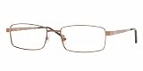 210gGyVhBZL. SL160  RAY BAN 7503 1020 BROWN METAL EYEGLASSES