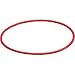 Olympus POL-041W Replacement O-Ring for the PT-042 and PT-043 Underwater Housings