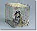 Pet Product 203 Dog Crate - Gold Fold Down - Medium