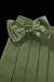 Bowtie and Cummerbund - Luxury Clover