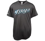 Toronto Blue Jays V Neck Blank Jersey by Majestic