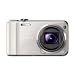 Quality Product By Sony Eleronics - Digital Camera 10x Optical Zoom 16.1MP Silver