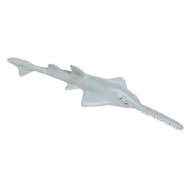 Sawfish, Monterey Bay Aquarium, Scale by Monterey Bay Aquarium