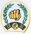 Moo Duk Kwon Martial Arts Patch