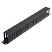 Tripp Lite SmartRack - Rack cable management duct with cover (horizontal) - black - 1U - 19"