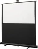 66.5IN Diagonal Piper Portable Projection Screen HDtv Matt White