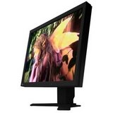 Eizo L997-BK - 21 LCD Monitor - 550:1, 1600 x 1200 - Black