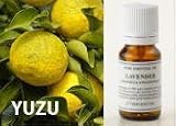 【2012年2月2日（木）蒸留分】柚子（ゆず）[高知県/四万十産]　10ml　［エッセンシャルオイル/精油］／（社）日本アロマ環境協会表示基準適合認定精油 2月10日