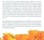 Lexical and Constructional Aspects of Linguistic Explanation (Center for the Study of Language and Information - Lecture Notes)