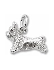Terrier Charm