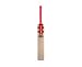 GRAY-NICOLLS Quantum Blaze Cricketschläger Erwachsene