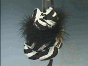 Snickelldoodles Zebra Print Cat Sachet