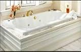 American Standard 7236.028WC Silver Virtuoso Whirlpool w/ StayClean Hydro Massage System II - 7236.028WC
