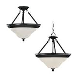 69462BLE-782 - SeaGull Lighting Sussex Fluorescent Pendant