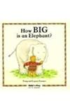 How big is an elephant