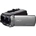 Sony HDR-TD10 High Definition 3D Handycam Camcorder with 10x Optical Zoom (Silver)