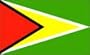 NEOPlex 3' x 5' International Flags of the World's Countries - Guyana