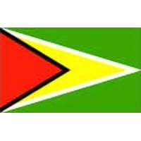 NEOPlex 3' x 5' International Flags of the World's Countries - Guyana